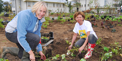 Vet School garden