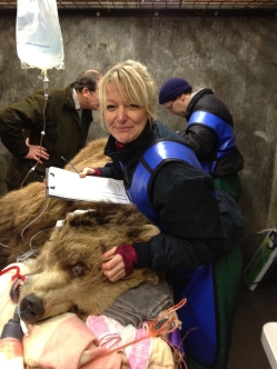 Hayley and an unconscious bear