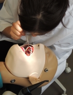 Dental training