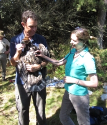 Jo Hedley and a sea eagle