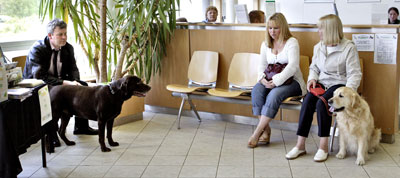 Two women sit in a waiting room with a labrador while a man sits across from them with a black dog