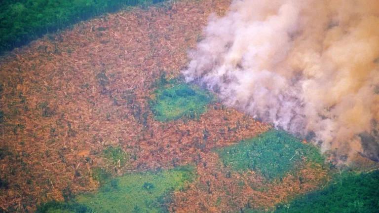 Drone view of forest that has been logged and also has a section burning with lots of smoke