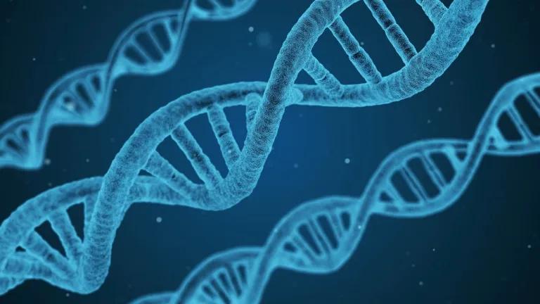 DNA helix