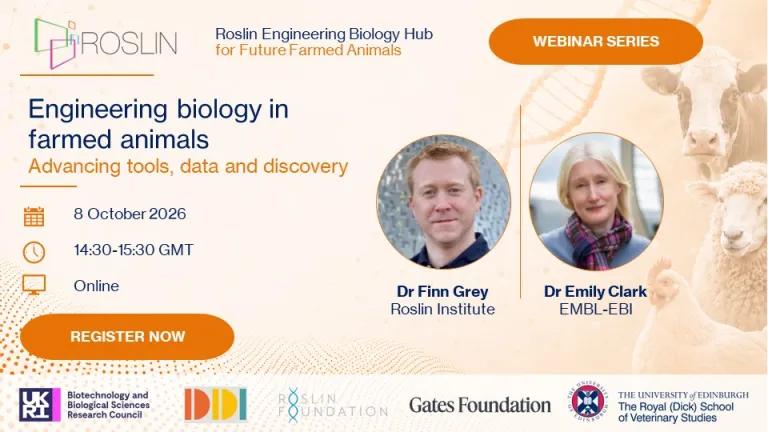 Rolsin EB hub webinar 1