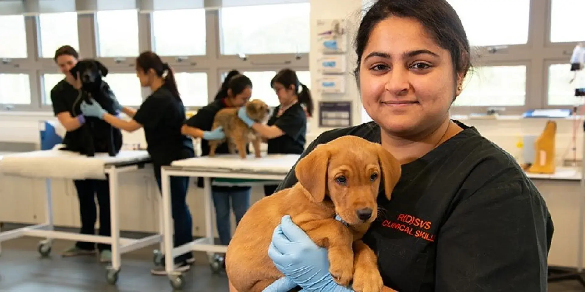 vet student with puppy