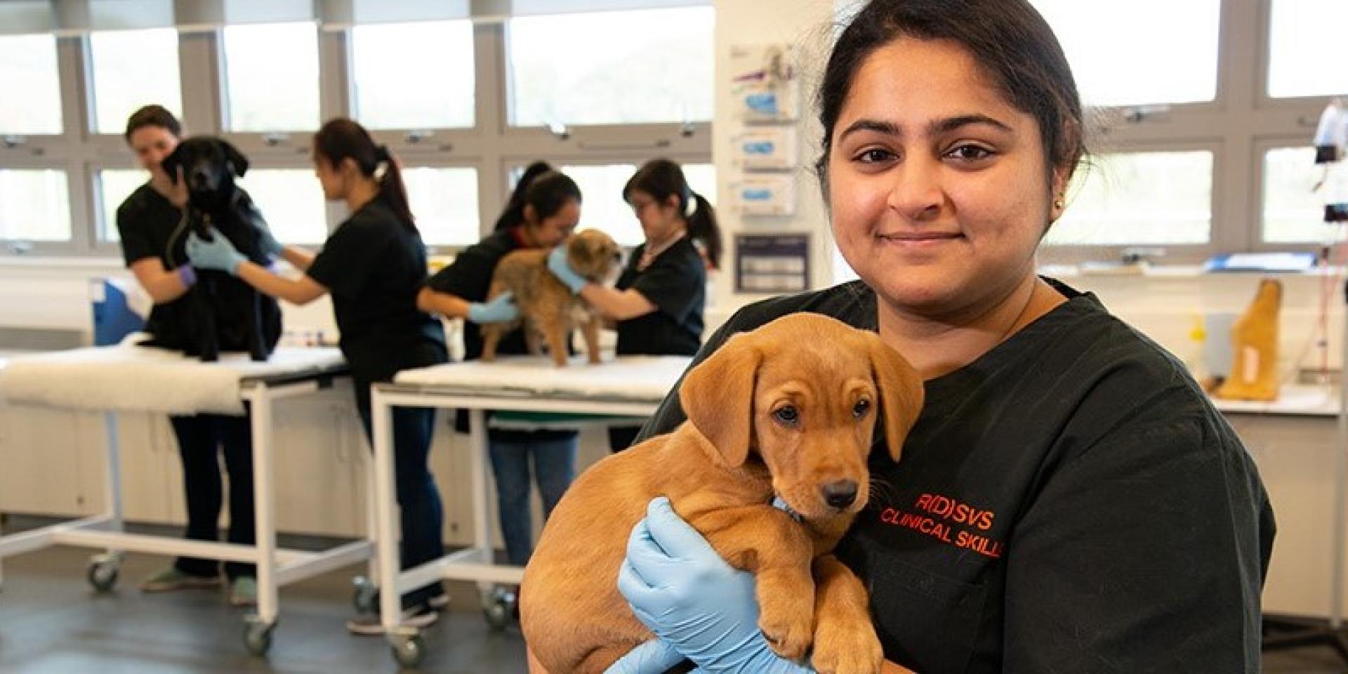 vet student with puppy