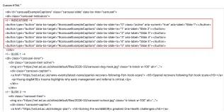 carouser indicators html