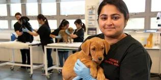 vet student with puppy
