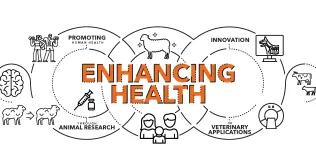 A graphic showing the relationship between promoting human health, animal research, and innovation in veterinary applications