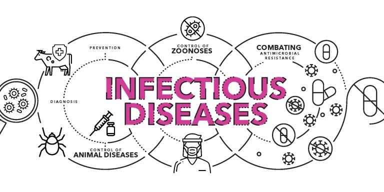 A graphic showing the relationship between disease and diagnosis, prevention, control of zoonoses, antimicrobial resistance and animal diseases