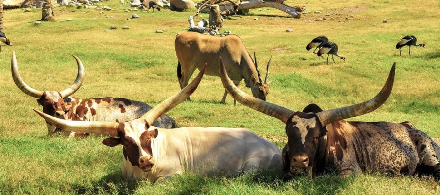 The Agritech Hub