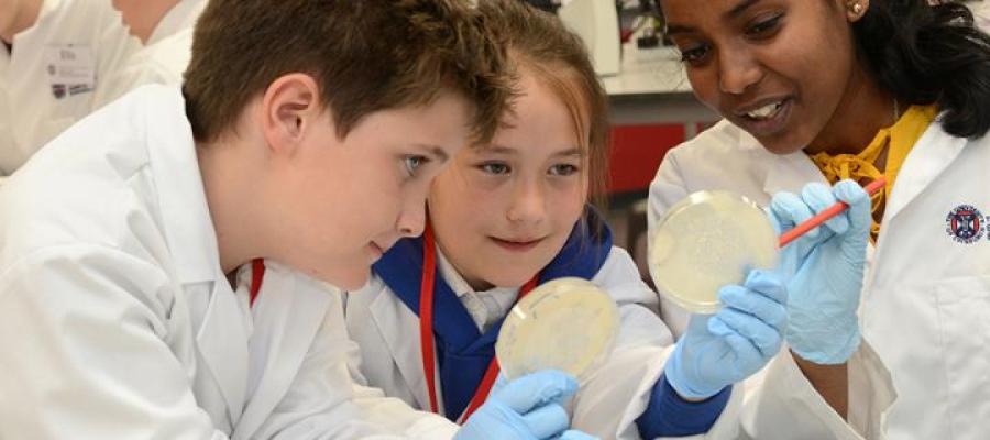 Primary School Workshops - Booking enquiries open now for Dolly, DNA & Me and Farm Detectives