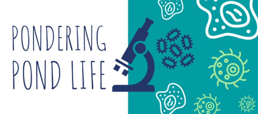 Pondering Pond Life ¦ Microbiology Toolkit