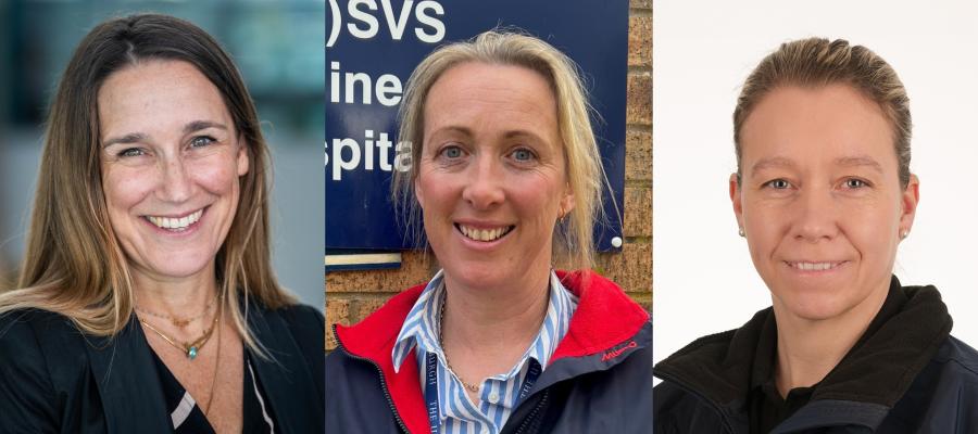 Professor Lisa Boden, Dr Sarah Taylor and Dr Sarah Taylor.