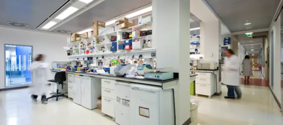 Scientists working in a lab