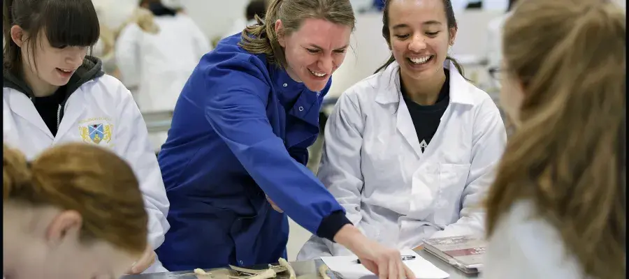 Veterinary students learn radiography.