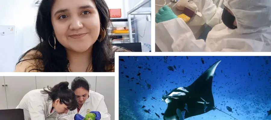 Profile picture of Alejandra Arana