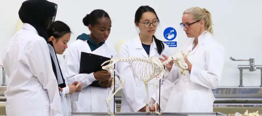 Summer school students and a professor in a veterinary anatomy class