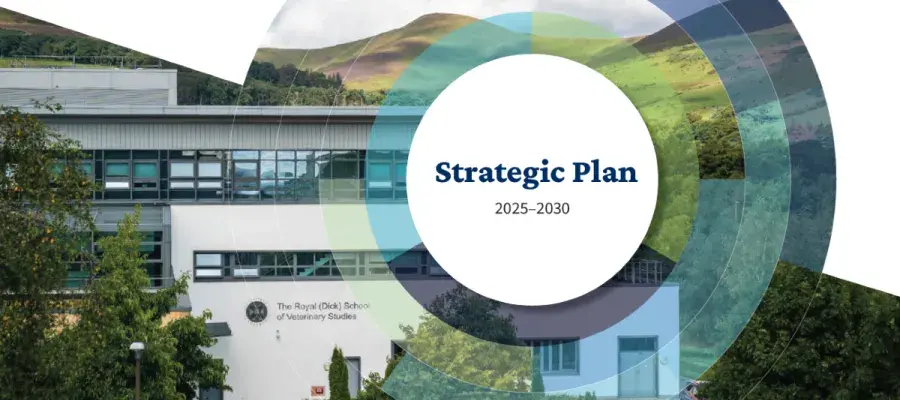 A graphic featuring School buildings, with hills in the background. The text reads 'Strategic Plan 2025-2030'.