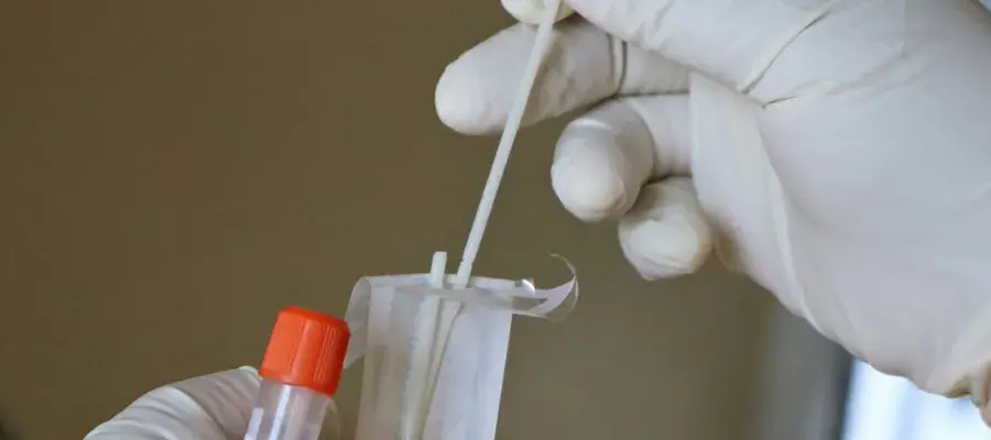 Gloved hands handling a DNA test tube