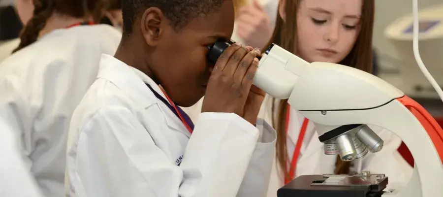 Primary school workshop