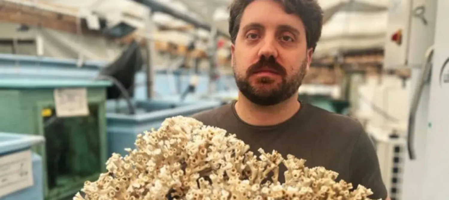 Simone D’Alessandro