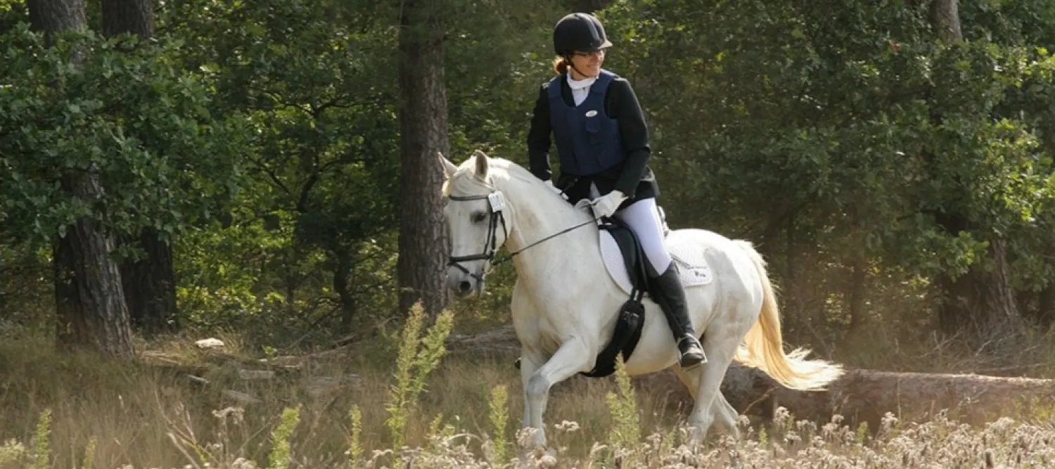 woman riding a white horse through a meadow in the sunshine