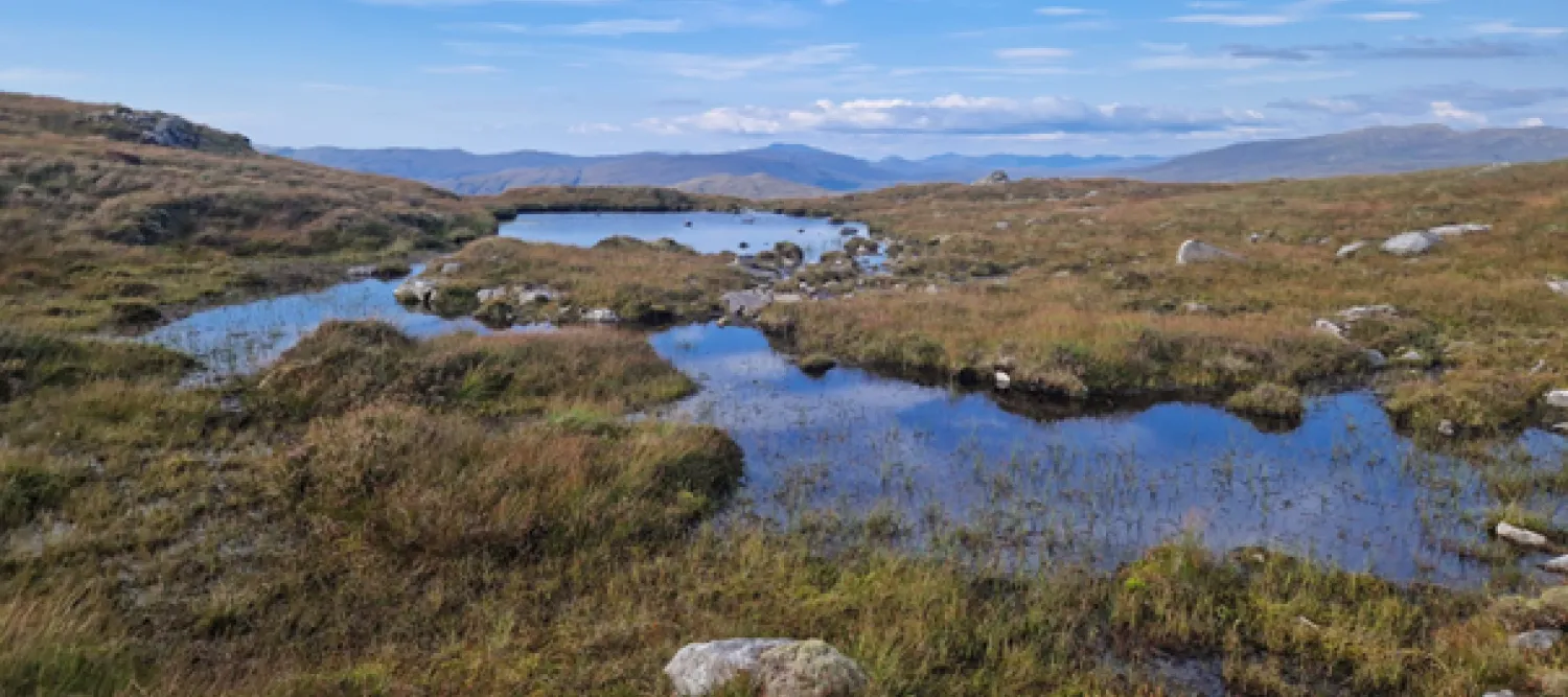 Picture of a peatland in Scotland