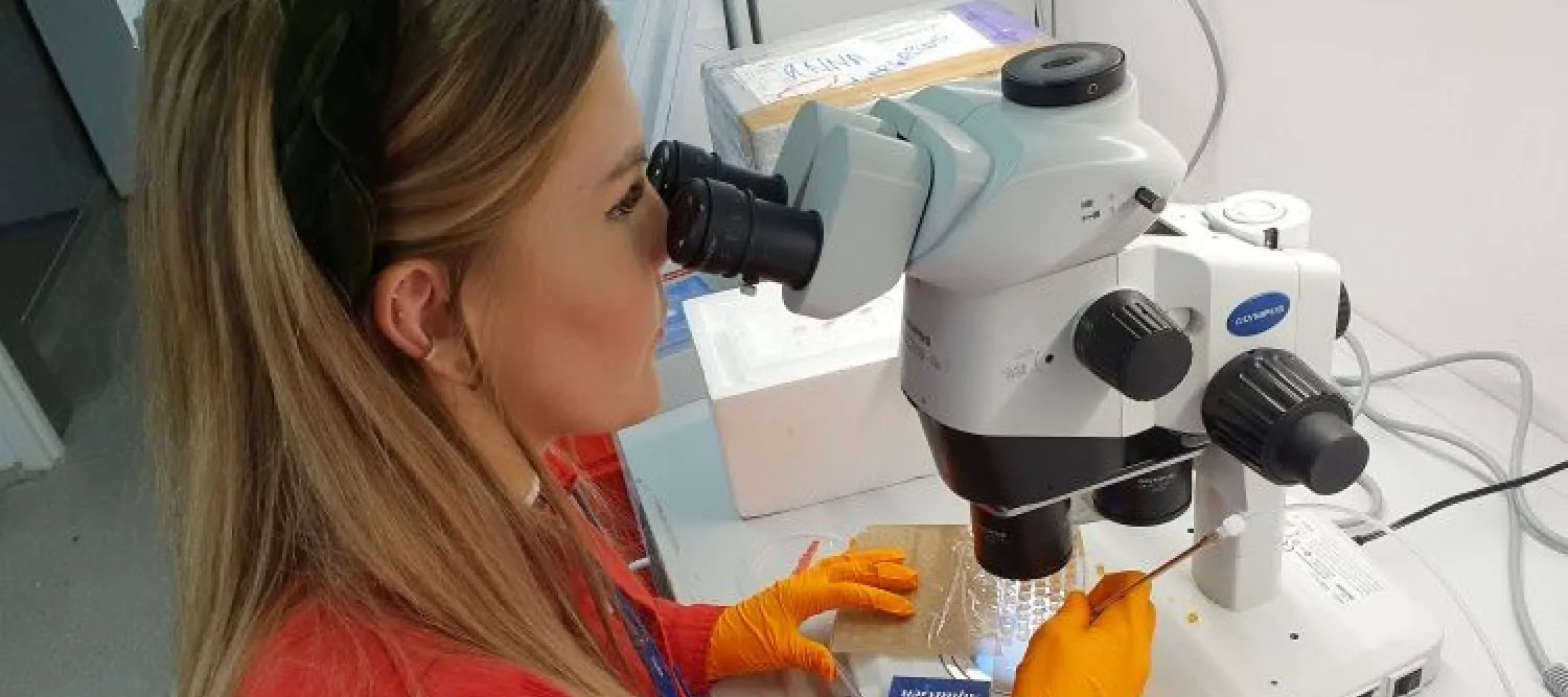 Mari at the microscope