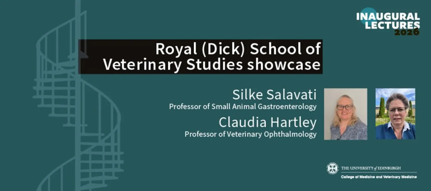 Promotional flyer for the Inaugural Lecture Showcase 
