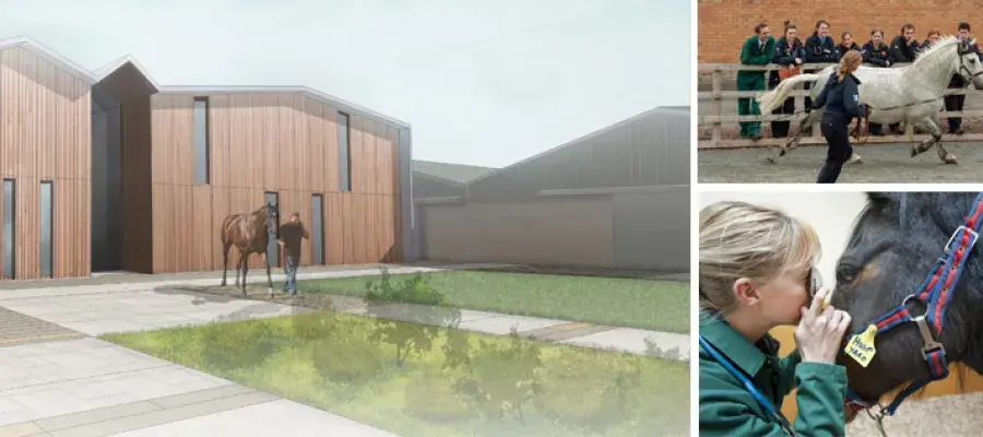 Equine Diagnostic, Surgical and Critical Care Unit