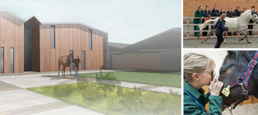 Equine Diagnostic, Surgical and Critical Care Unit