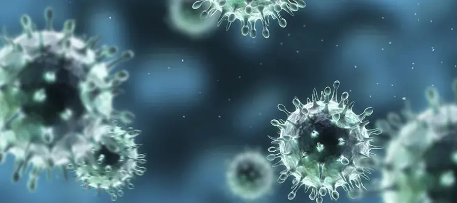 Influenza virus