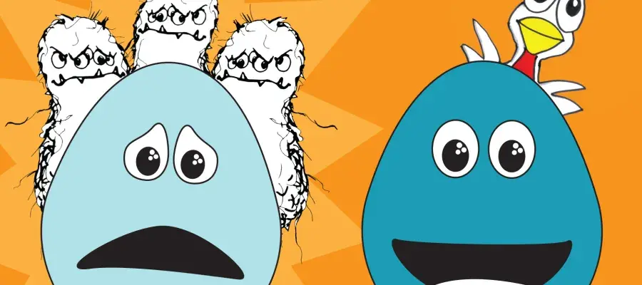 Two eggs, one egg with a poor cuticle looking sad and being attached by bacteria, the other with a good quality cuticle looking happy with no bacteria