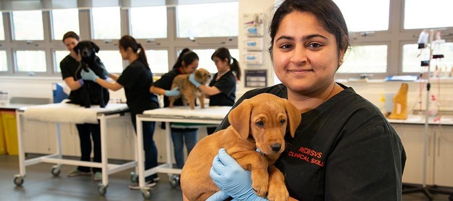 vet student with puppy