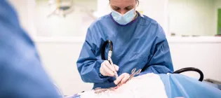 A veterinary surgeon in PPE carries out a procedure in a theatre.