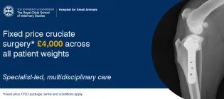 TPLO advert assoc image MB