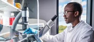 A scientist in a lab in the Roslin Institute peers into a microscope 