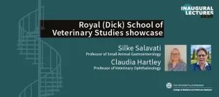 Promotional flyer for the Inaugural Lecture Showcase 