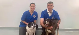 Dr Cristina Bianchi (left) and Prof Dylan Clemens (right) pose with two canine patients. The background is a plain white wall