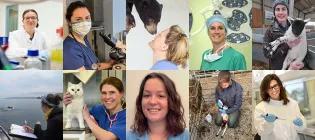 Collage of women in science