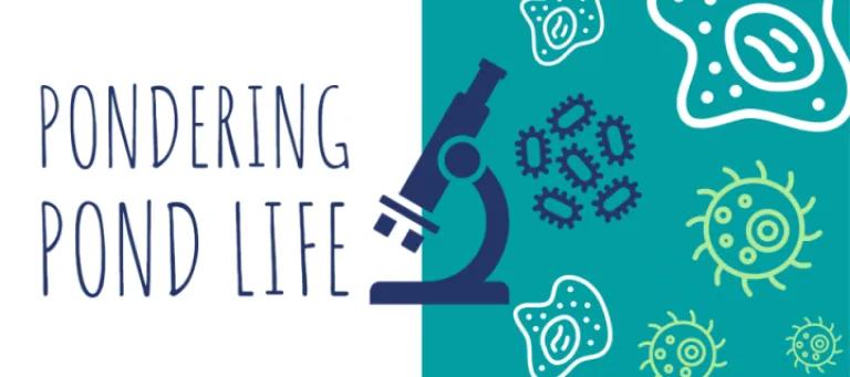 Pondering Pond Life ¦ Microbiology Toolkit