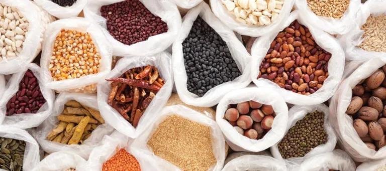 Healthy people and a healthy planet, through regenerative and ethical food and land use systems