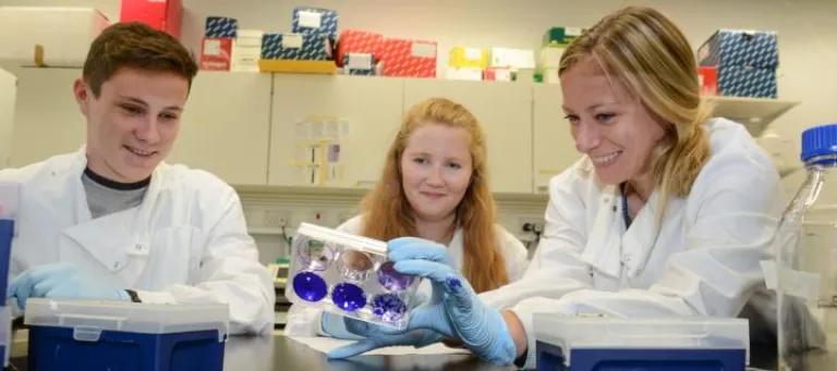 Decorative image of students and scientist in a lab