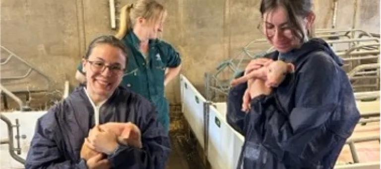Two visiting scientists holding piglets