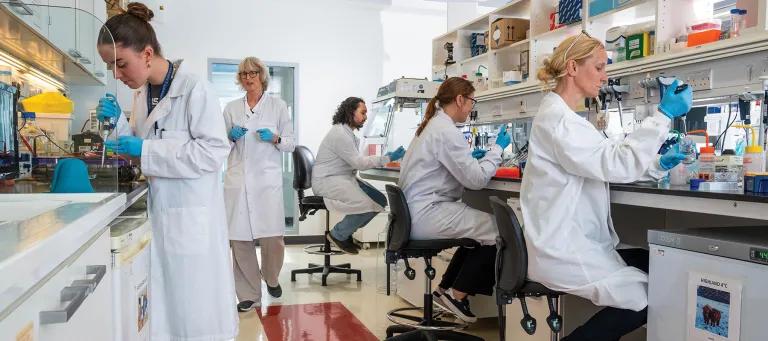 A team of scientists working in a lab at Roslin