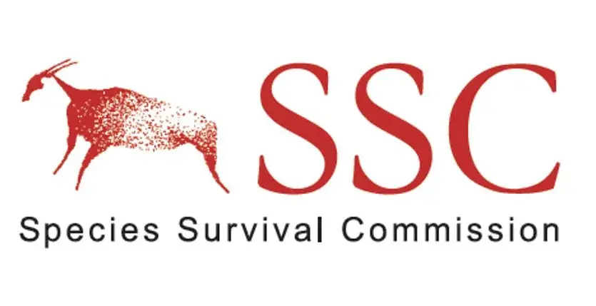 ssc logo
