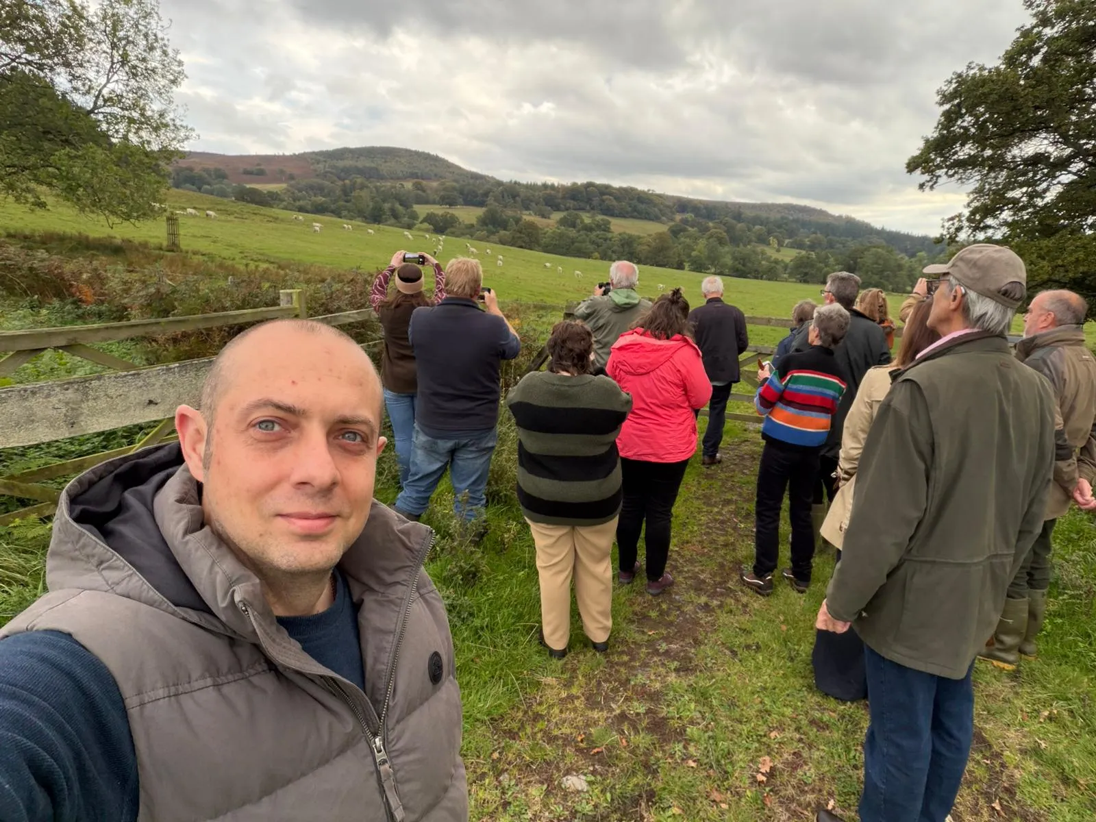 Group looking at field of wild cattle