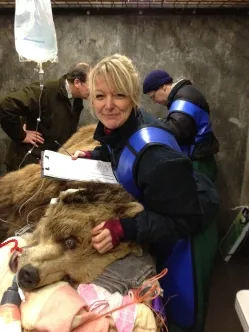 Hayley and an unconscious bear