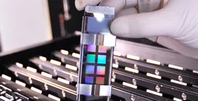 Roslin in Scots link-up with China to boost genetic research